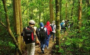 Tour du lịch Cát Tiên