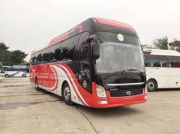 Yer575 (2)
