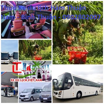 Thue Xe Du Lich Ham Thuan Nam