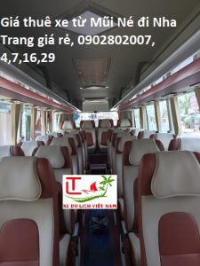 Thuexenhatrangmuine 2