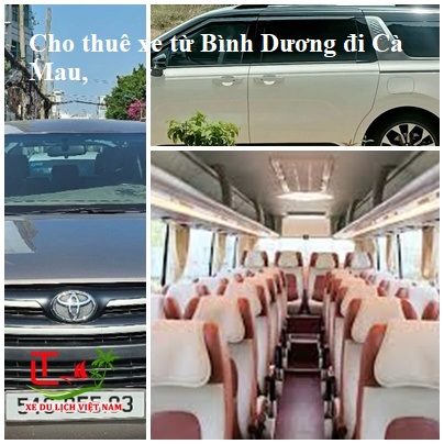 Cho Thue Xe Binh Duong Di Ca Mau