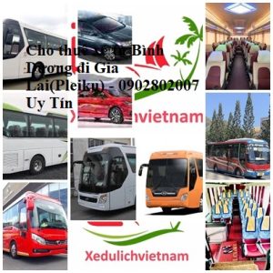 Cho Thue Xe Sai Gon Di Gia Lai
