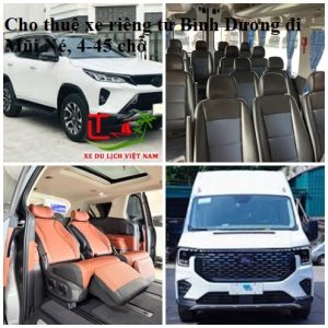Thue Xe Binh Duong Mui Ne