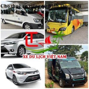 Thue Xe Binh Duong Mui Ne