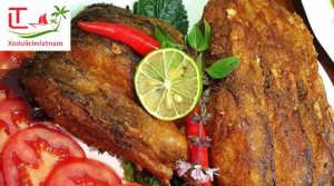 https://www.xedulichvietnam.com/gia-thue-xe-hop-dong-du-lich-sai-gon-di-vinh-phuc/ Gia Thue Xe Hop Dong Sai Gon Di Vinh Phuc