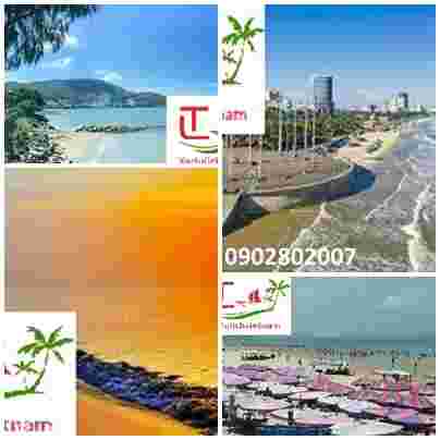 Thue Xe Da Nang Vung Tau