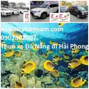 Thuê xe 4, 7, 16 chỗ giá rẻ