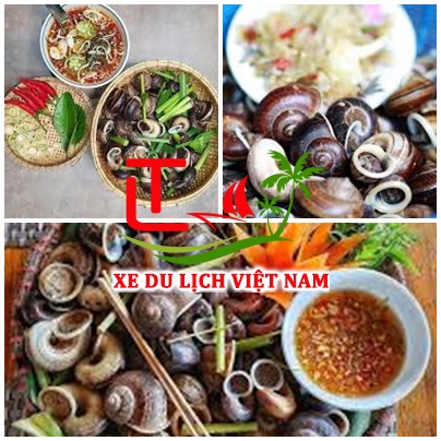 Cho Thue Xe Nha Trang Di Tay Ninh