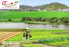 Thue Xe Nha Trang Di Ha Nam