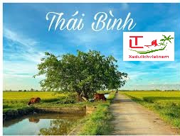 Cho Thue Xe Nha Trang Di Thai Binh