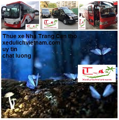 Top xe đi Miền Tây giá rẻ