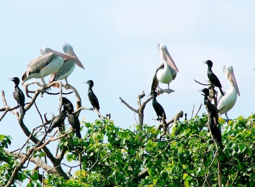 Top thuê xe Phan thiết đi Cà Mau Giá Rẻ [0902802007] Du lịch Bình Thuận