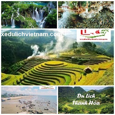 Thue Xe Da Lat Di Thanh Hoa