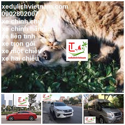 Thue Xe Can Tho Di Tra Vinh