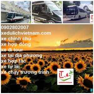 Thue Xe Sai Gon Di Tra Vinh