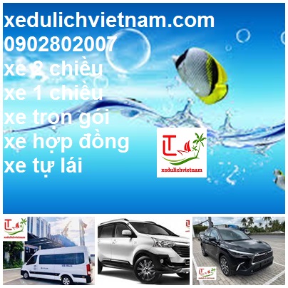 Thue Xe Gia Lai Di Quang Nam