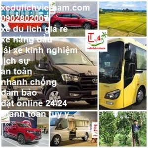 Thue Xe Du Lich Tam Binh