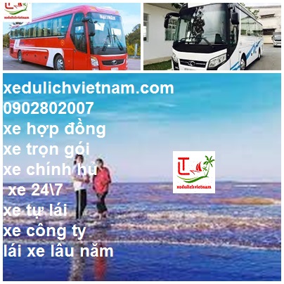 Thue Xe Du Lich Binh Dai