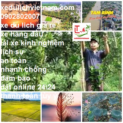 Thue Xe Du Lich Tam Binh