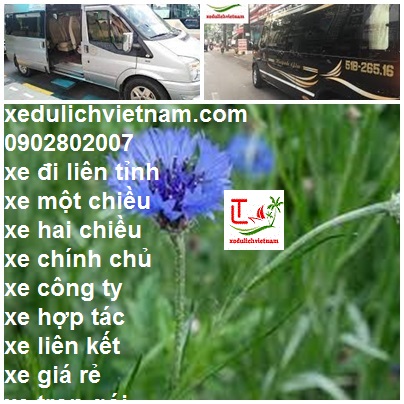 Thue Xe Du Lich Hoa Thanh