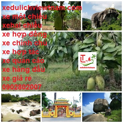 Thue Xe Dinh Quan Di Bac Lieu