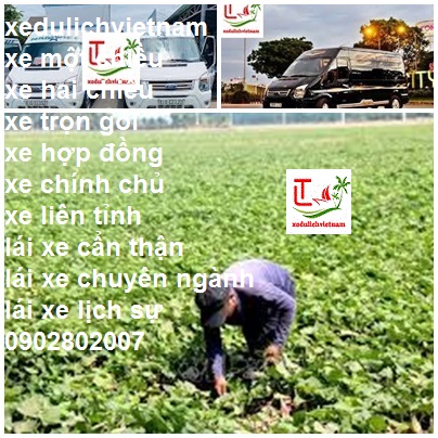 Thue Xe Sai Gon Duc Linh