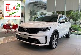 Xe Tan Son Nhat Tien Giang