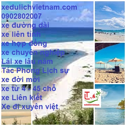 Thue Xe San Bay Tsn Lagi