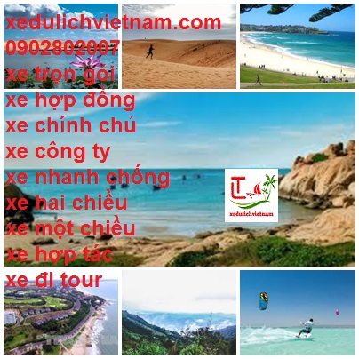 Xe Tan Son Nhat Phan Thiet