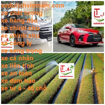 Thue Xe Dong Nai Nghe An