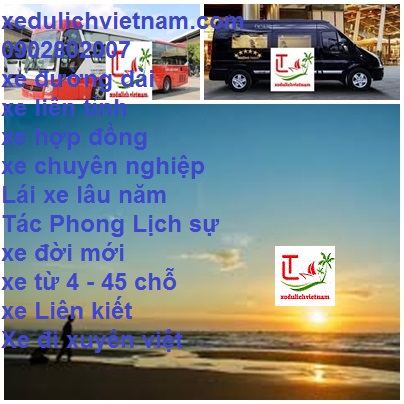 Thue Xe San Bay Tsn Lagi