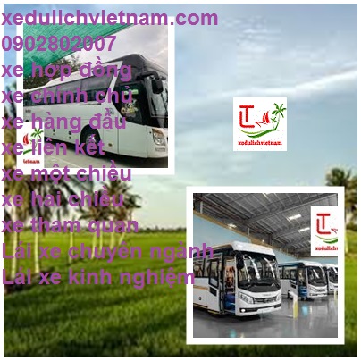 Thue Xe San Bay Tsn Long An