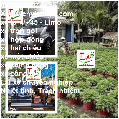Thue Xe Kien Giang Moc Bai
