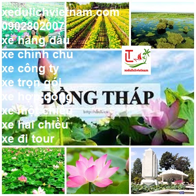 Thue Xe Tien Giang Dong Thap