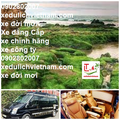 Thue Xe Limousine Mui Ne