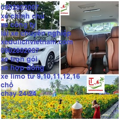 Thue Xe Sedona Hoc Mon