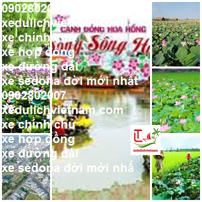 Thue Xe Sedona Dong Thap