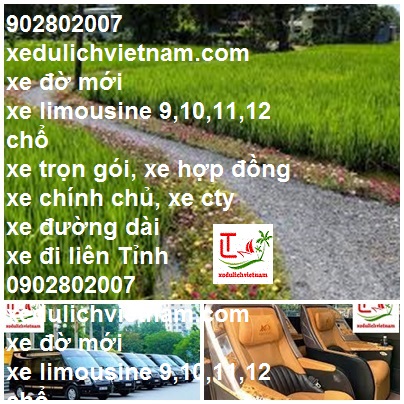 Thuê xe Limousine Bình Chánh