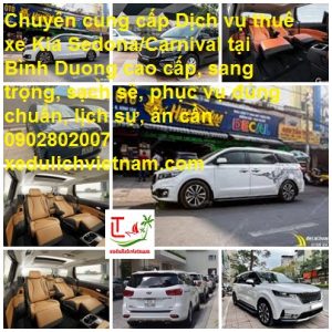 Thue Xe Sedona Binh Duong