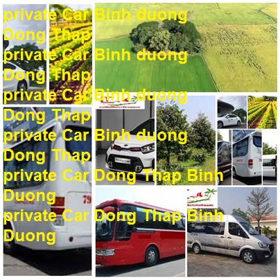 Private Car Binh Duong Dong Thap