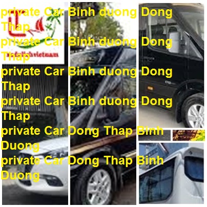 Private Car Binh Duong Dong Thap