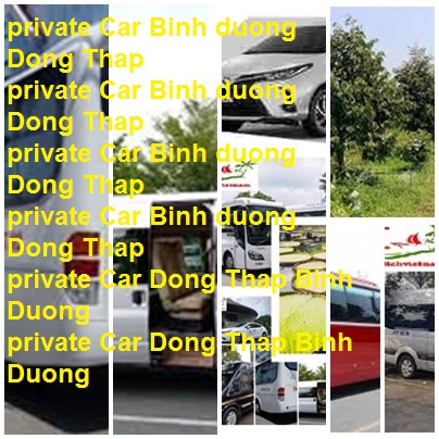Private Car Binh Duong Dong Thap