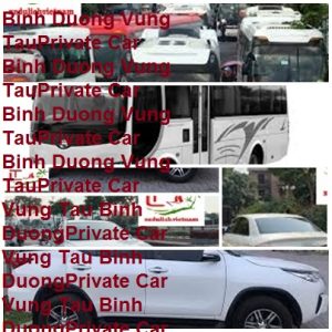 Binh Duong Vung Tau Private Car