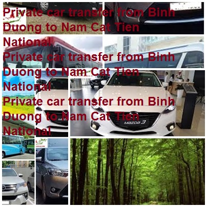 Private Car Binh Duong Cat Tien