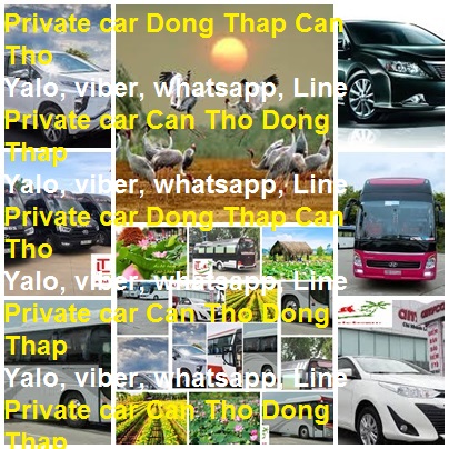 Private Car Dong Thap Can Tho