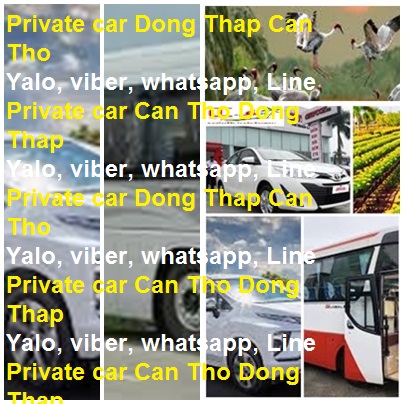 Private Car Dong Thap Can Tho