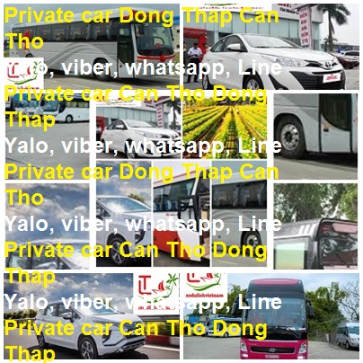 Private Car Dong Thap Can Tho