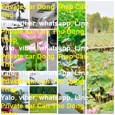 Private Car Dong Thap Can Tho