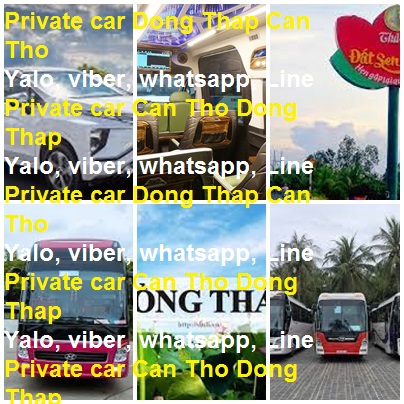 Private Car Dong Thap Can Tho