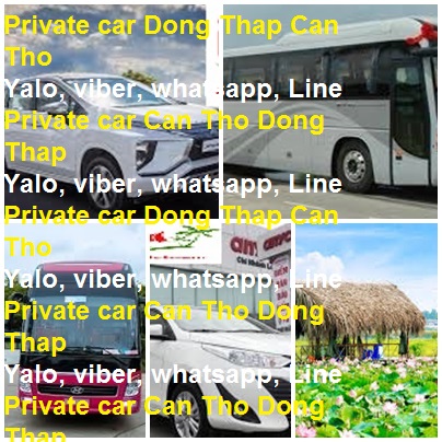 Private Car Dong Thap Can Tho